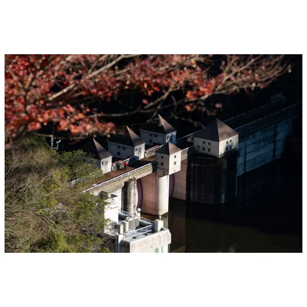 Hoya 77mm Softener No 0.5 Filtre - Görsel 4