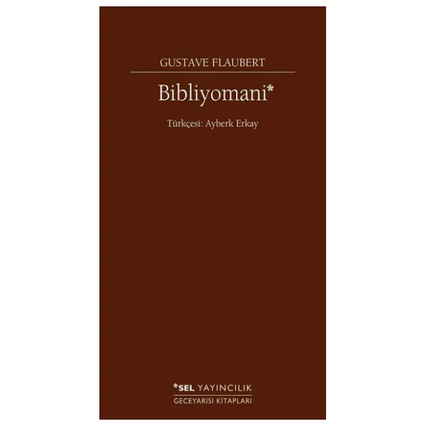 Bibliyomani - Gustave Flaubert - Görsel 5
