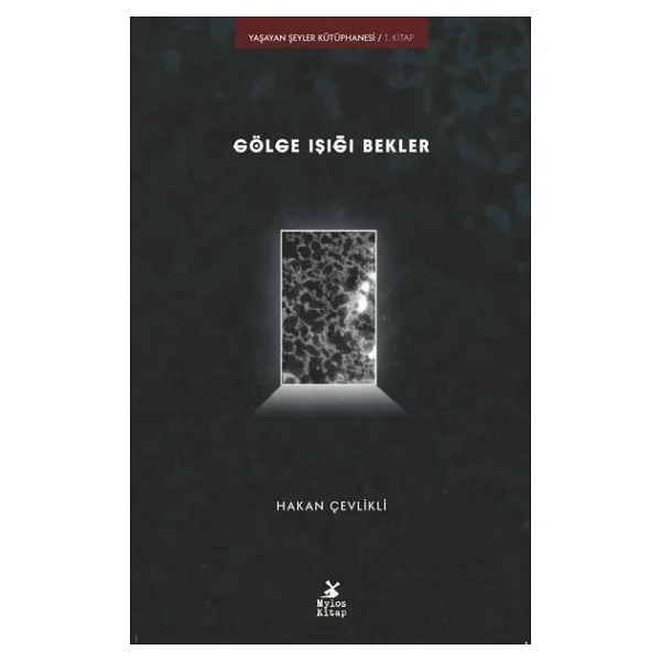 Gölge Işığı Bekler - Hakan Çevlikli - Görsel 4