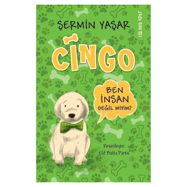 Cingo - Şermin Yaşar - Görsel 5