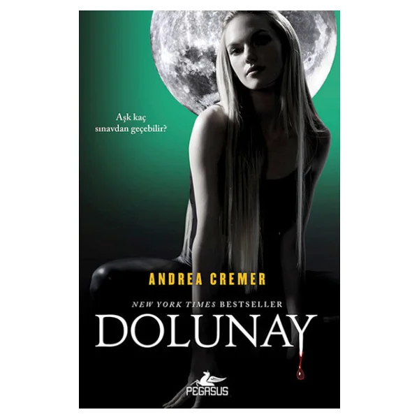 Dolunay - Görsel 3