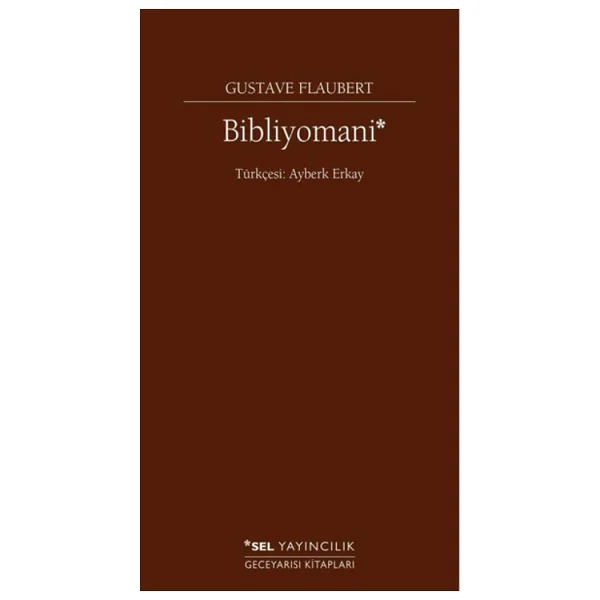 Bibliyomani - Gustave Flaubert - Görsel 4