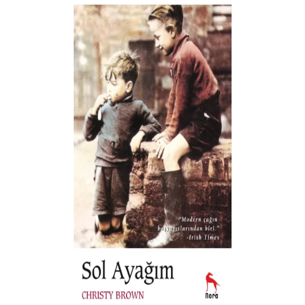 Ben Bir Gürgen Dalıyım - Hasan Ali Toptaş - Görsel 4