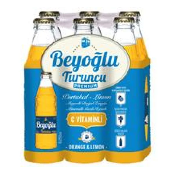 Beyoğlu Turunçgiller 250 ml 6'lı Karışık Meyve Aromalı İçecek - Görsel 3