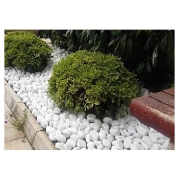 Ekodoğa Beyaz Dolomit Taş 25 Kg 4-6 Cm Dekoratif Taş Bahçe Süs Taşı Loche - Görsel 5