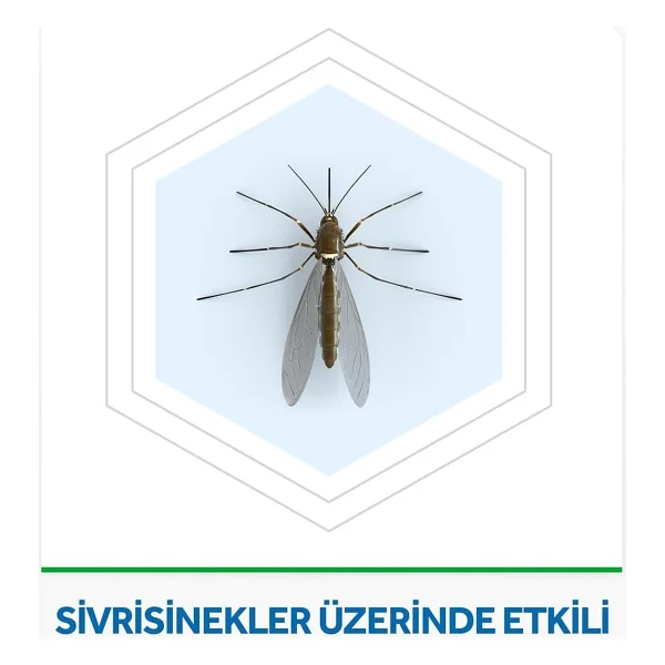 Raid Elektro Likit Yedek 45 Gece 2'li - Görsel 3