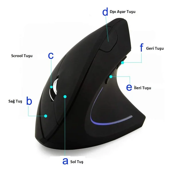 Triline Kablosuz Ergonomik Dikey Mouse - Görsel 2