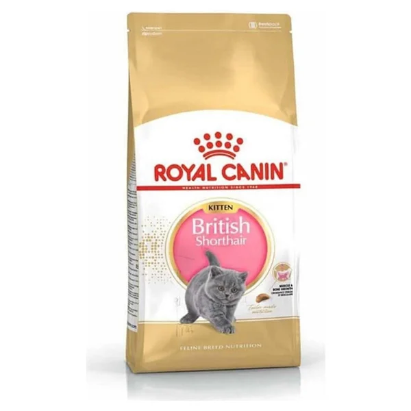 Royal Canin British Shorthair 10 kg Yetişkin Kedi Maması - Görsel 4