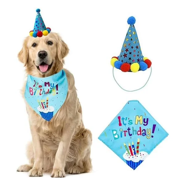 Köpekler İçin Doğum Günü Partisi Seti - Görsel 8