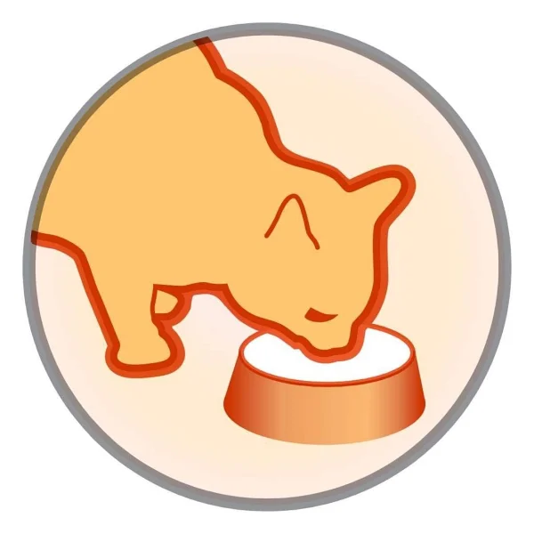 Pro Plan Derma Care Somonlu 1.5 kg Yetişkin Kedi Maması - Görsel 9