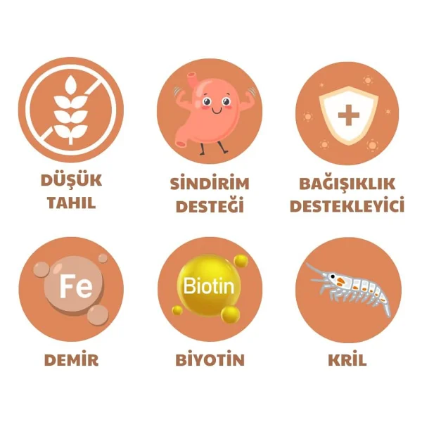 Petline Sensitive Skin & Coat Deri ve Tüy Sağlığı İçin Somonlu Yetişkin Kuru Köpek Maması 12Kg - Görsel 5