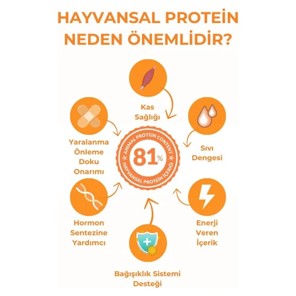 Petline Sensitive Skin & Coat Deri ve Tüy Sağlığı İçin Somonlu Yetişkin Kuru Köpek Maması 12Kg - Görsel 8