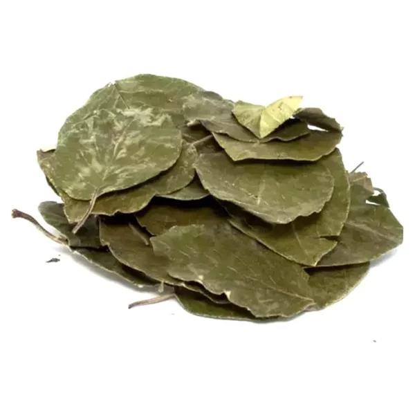 Organik Bitkim Avokado Yaprağı 1 kg - Görsel 3