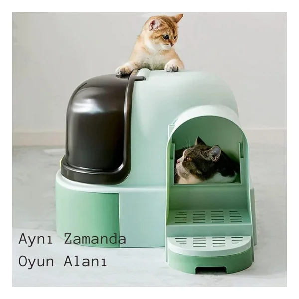 ShopFast Star Tüneli Çekmeceli Kedi Tuvaleti Kürek Hediyeli Kedi Kum Kabı Yeşil - Görsel 6
