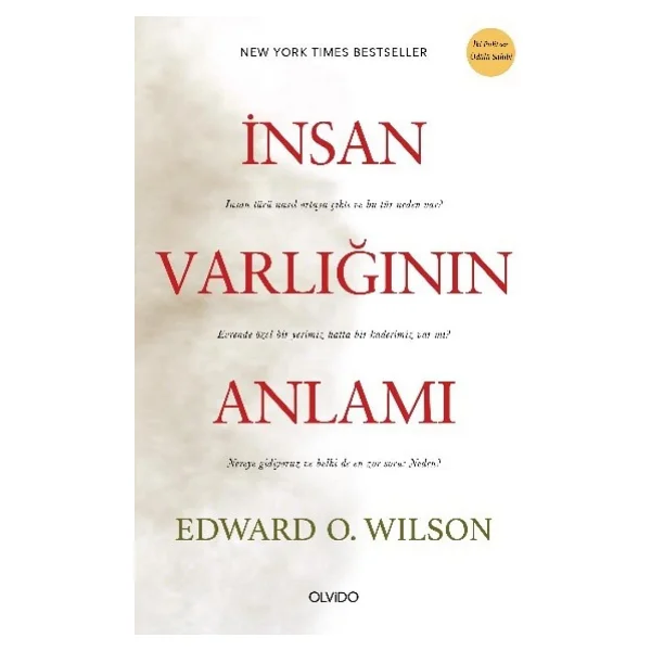 İnsan Olmak - Engin Geçtan - Görsel 10