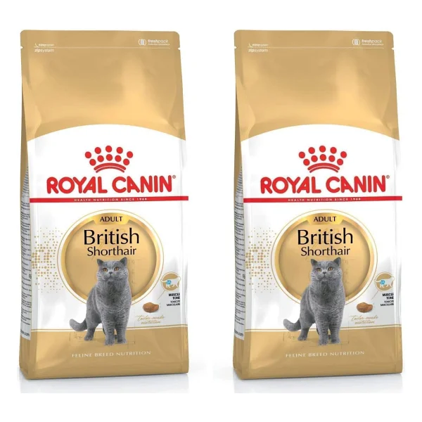 Royal Canin British Shorthair 10 kg Yetişkin Kedi Maması - Görsel 5