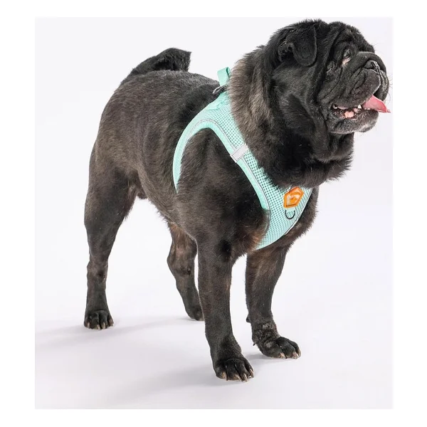 Pawstar Mint Air-mesh Göğüs Tasması Kedi Köpek Göğüs Tasması Mint 3XS - Görsel 2