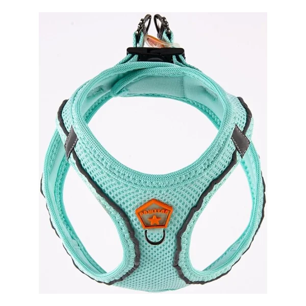 Pawstar Mint Air-mesh Göğüs Tasması Kedi Köpek Göğüs Tasması Mint 3XS - Görsel 3