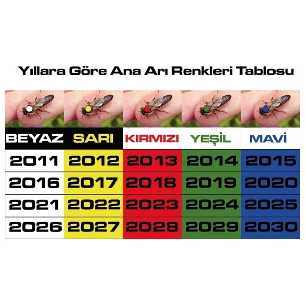 Ana Arı İşaretleme Boyama Kalemi Mavi - Görsel 5