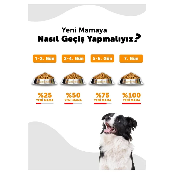 LaVital Maxi Adult Kuzu Etli 12 kg + 3 kg Büyük Irk Yetişkin Köpek Maması - Görsel 7