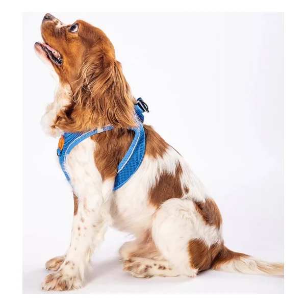 Pawstar Mavi Air-mesh Göğüs Tasması Kedi Köpek Göğüs Tasması Mavi 3XS - Görsel 2