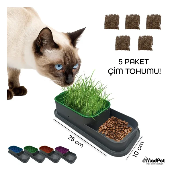 MADPET Topraksız Kedi Çimi Kabı Mavi - 5 Paket Çim Tohumlu Hidroponik Çim Yetiştirme Seti - Kediler için Doğal Çim Yetiştirme Kutusu - Evde Kolay Çimlendirme ve Sindirim Desteği - Görsel 6