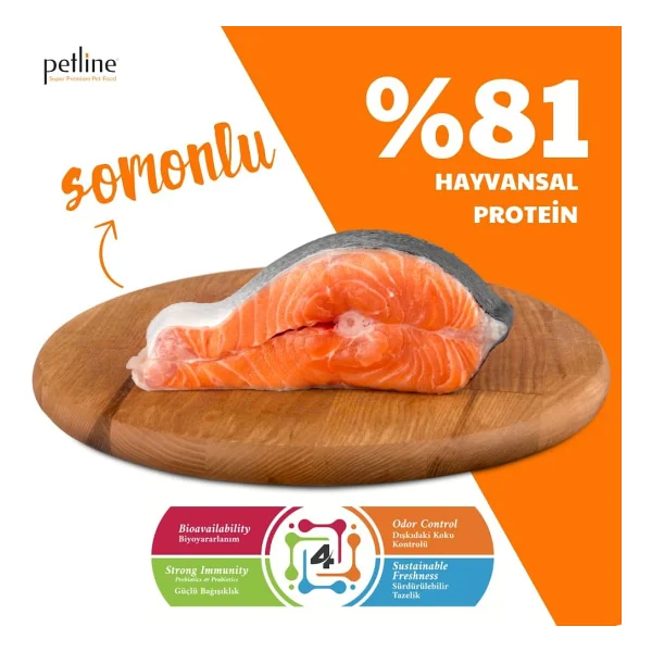 Petline Sensitive Skin & Coat Deri ve Tüy Sağlığı İçin Somonlu Yetişkin Kuru Köpek Maması 12Kg - Görsel 4