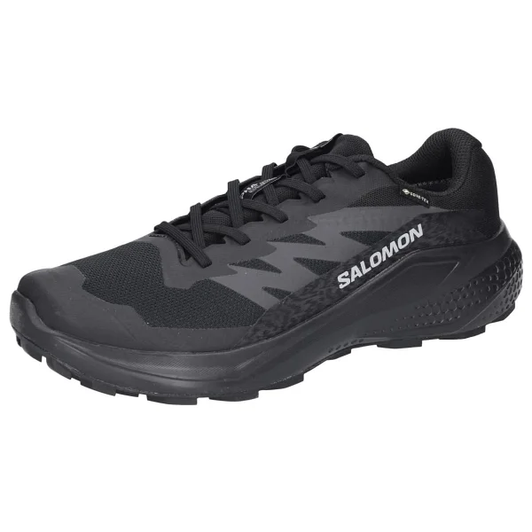 Salomon Alphaglide Gore-Tex L47802100 Siyah Erkek Koşu Ayakkabısı - Görsel 4