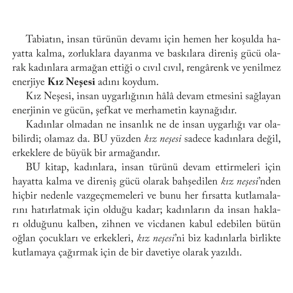 Kız Neşesi - Buket Uzuner - Görsel 6