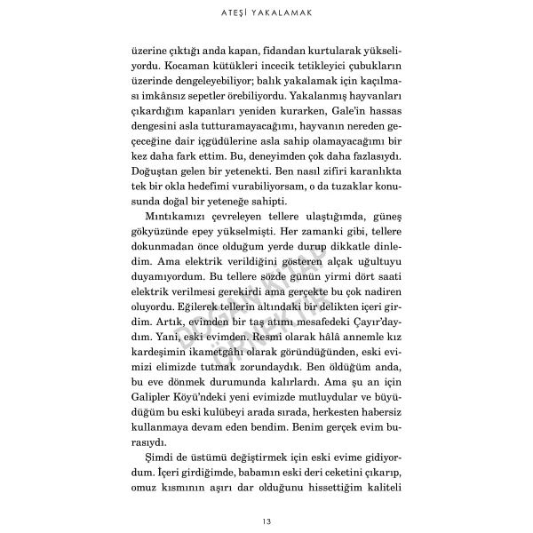 Açlık Oyunları 2 - Ateşi Yakalamak - Suzanne Collins - Görsel 10