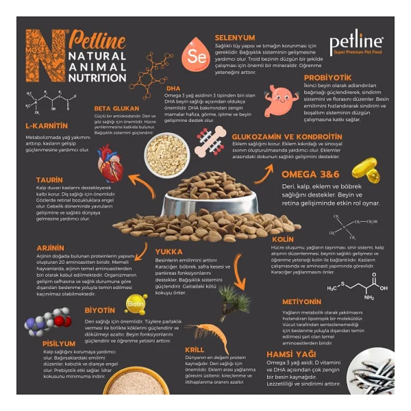 Petline Sensitive Skin & Coat Deri ve Tüy Sağlığı İçin Somonlu Yetişkin Kuru Köpek Maması 12Kg - Görsel 9