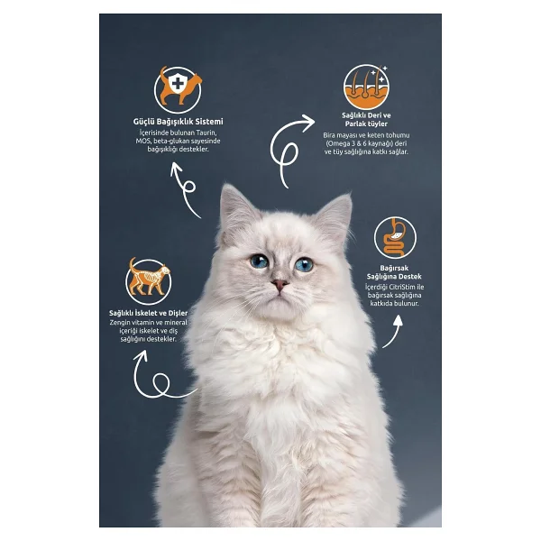 Reflex Sterilised Balıklı 15 kg Yetişkin Kedi Maması - Görsel 2