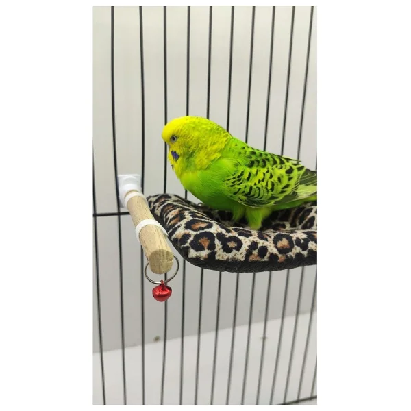 Ozzipetshop Muhabbet Kuşu Yatağı Süpriz Hediye - Görsel 4