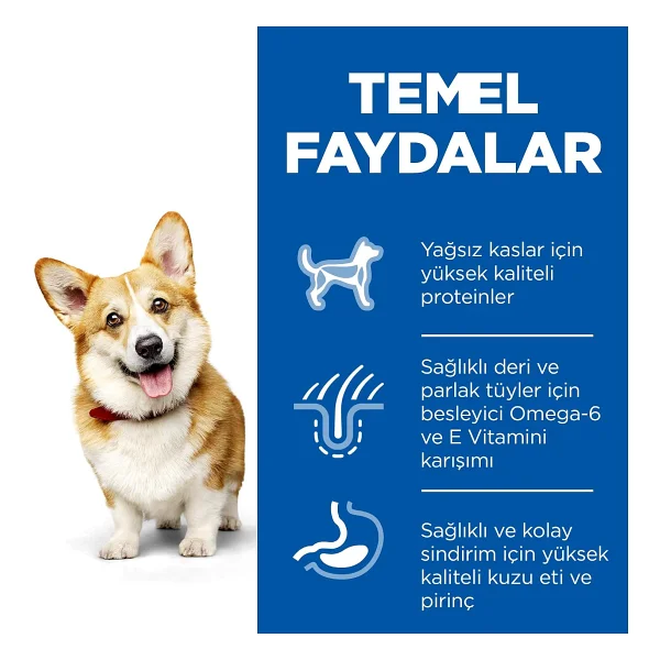 Hill's Adult Small Miniature Kuzu Etli 6 kg Küçük Irk Yetişkin Köpek Maması - Görsel 3