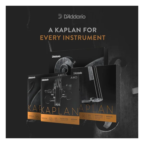 D'Addario Ks512 4/4M Kaplan Çello Tek Tel (D) - Görsel 2