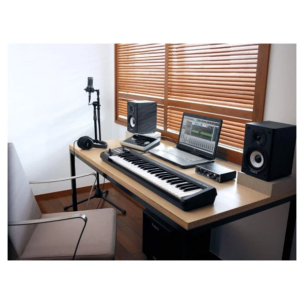 Roland A-49 Midi Klavye - Görsel 2