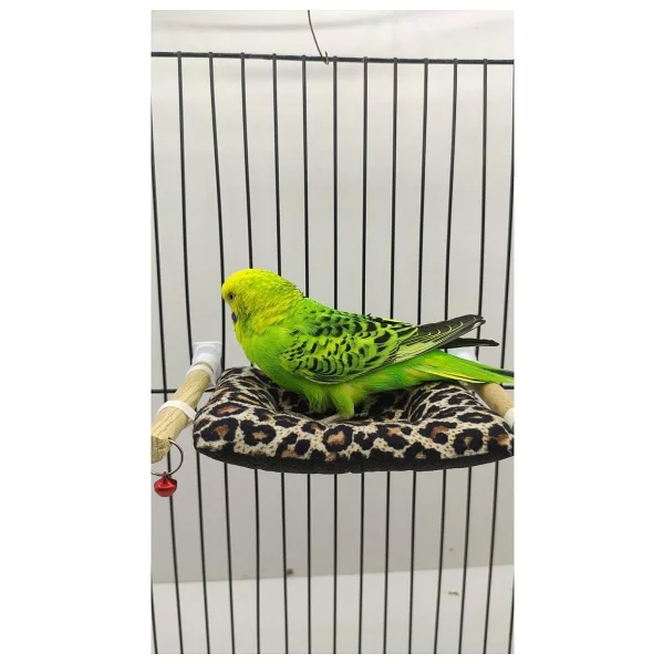 Ozzipetshop Muhabbet Kuşu Yatağı Süpriz Hediye - Görsel 3