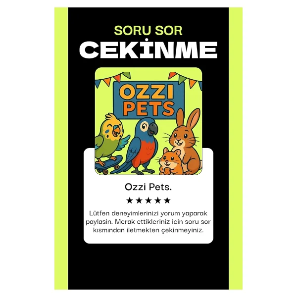 Ozzipetshop Muhabbet Kuş Tasmasi + Süpriz Hediye - Görsel 4