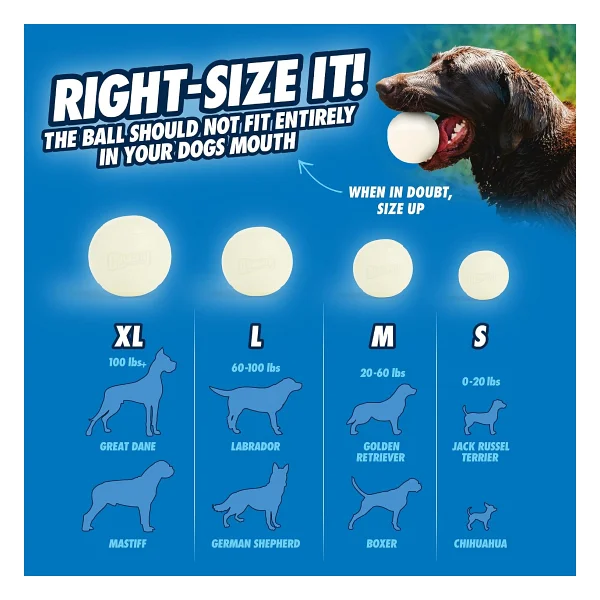 Chuckit Max Glow Gece Parlayan Köpek Oyun Topu - Large - Görsel 6