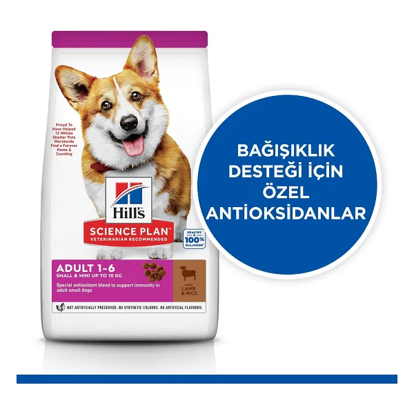 Hill's Adult Small Miniature Kuzu Etli 6 kg Küçük Irk Yetişkin Köpek Maması - Görsel 2