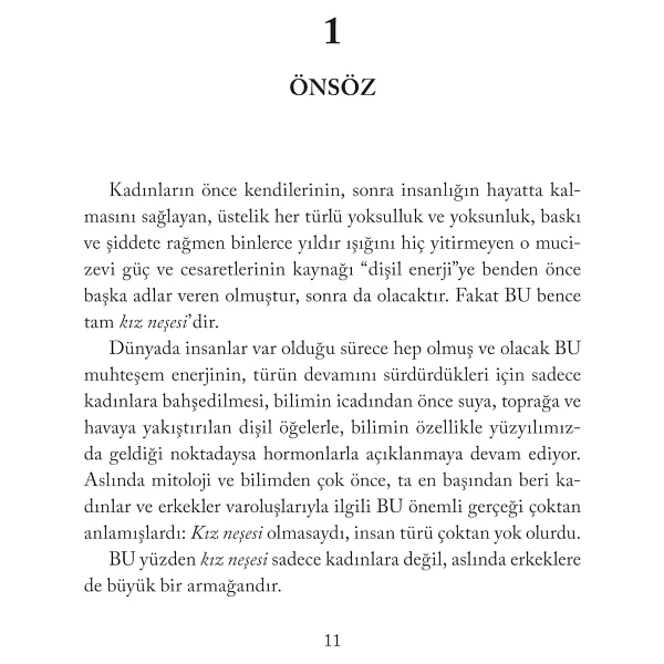 Kız Neşesi - Buket Uzuner - Görsel 8