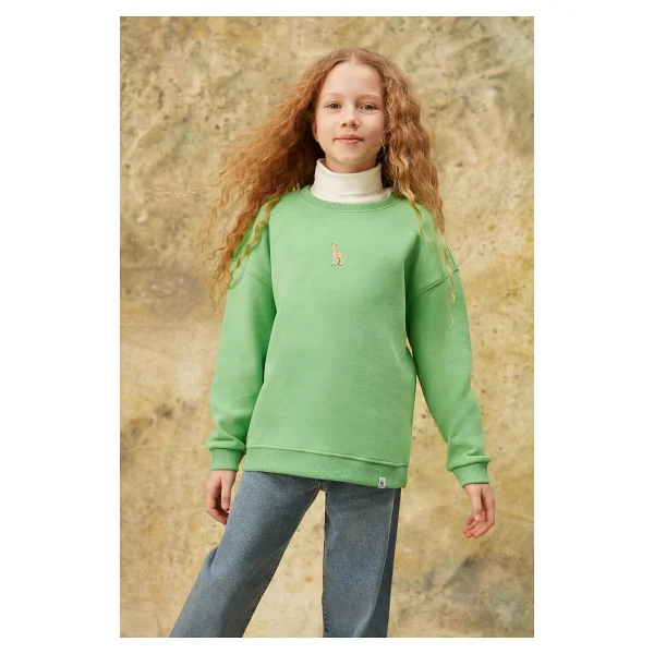 WWF Market Üniseks Çocuk Ceylan Sweatshirt Su Yeşili 8-9 Yaş - Görsel 4