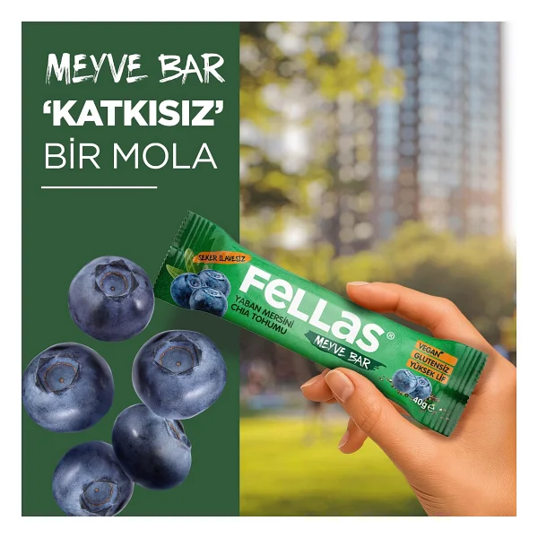 Fellas Chia ve Yaban Mersinli Meyve Bar 12x40 gr - Görsel 4