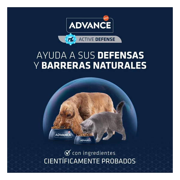 Advance Sensitive Somonlu 3 kg Yetişkin Kedi Maması - Görsel 4