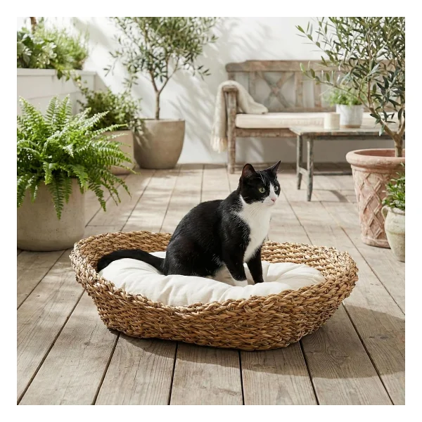 Deconox Oval Hasır Kedi Yatağı, Doğal Örme Dekoratif Kedi Sepeti, Yumuşak Minderli ve Alçak Girişli Konforlu Kedi Yuvası, Estetik Uyku Alanı - Görsel 5