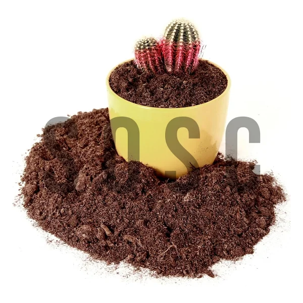 İthal Sphagnum Bitki Yetiştirme Torfu - Böcek Sinek Yapmaz Premium Kalite 5 Lt - Görsel 3