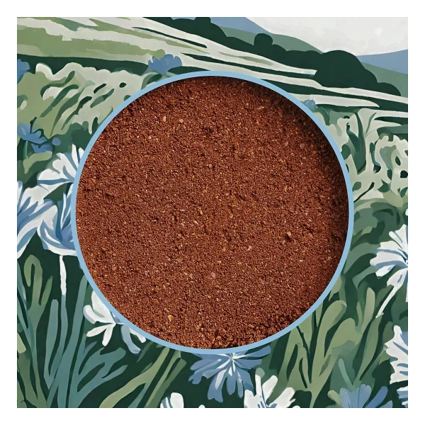 Mim and More Chicory Coffee - Hindiba Öğütülmüş Filtre Kahve, 200 Gr - Görsel 5