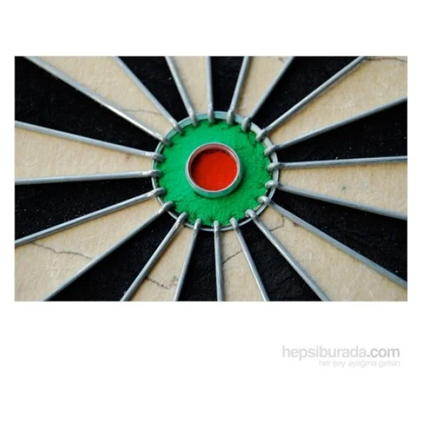 Winmau Pro SFB Dart Hedef Tahtası - Görsel 2