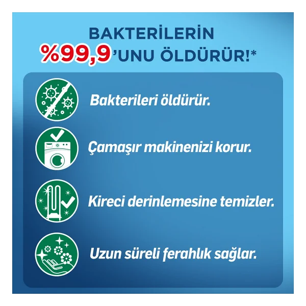 Lysol Antibakteriyel Çam ve Okaliptus Ferahlığı 250 ml Çamaşır Makinesi Temizleyici - Görsel 5