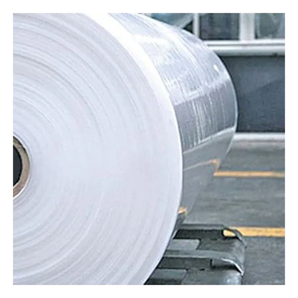 Özbalban 2x3 mt Düz Naylon Örtü Branda Şefaf Uv Katkılı 140 Micron Su Geçirmez - 2 x 3 m - Şeffaf - Görsel 2